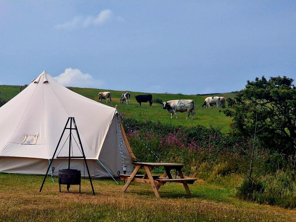 Beautiful 1-Bed Bell Tent In Holyhead Eksteriør bilde